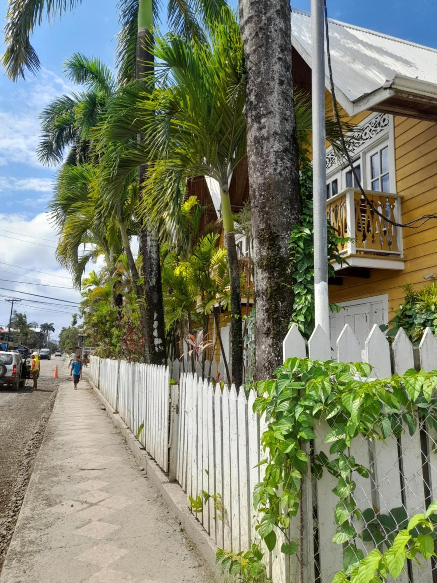 Charming Yellow Houses Loft-Style Apartment Bocas Town Exterior foto
